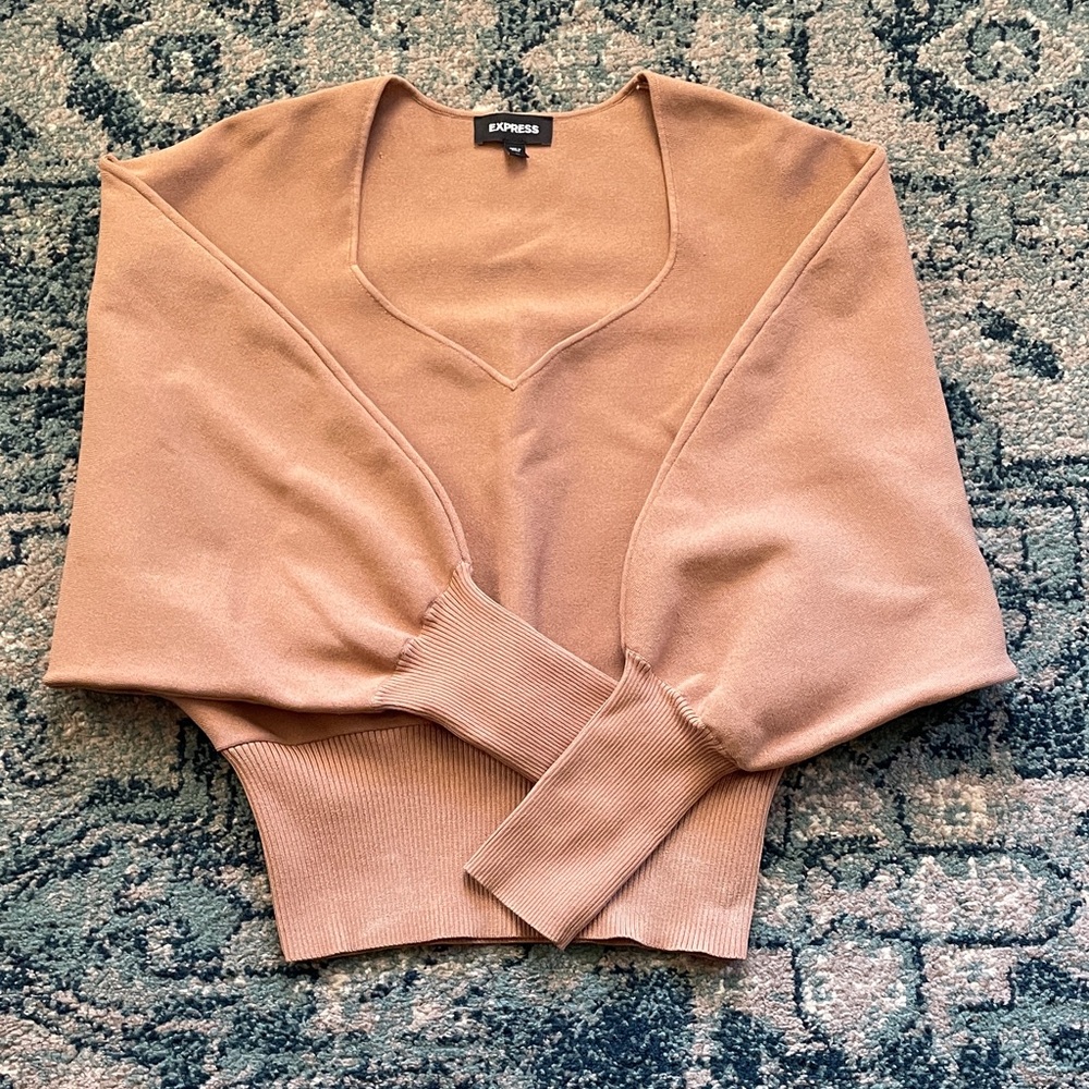Express Camel V-Neck Sweater